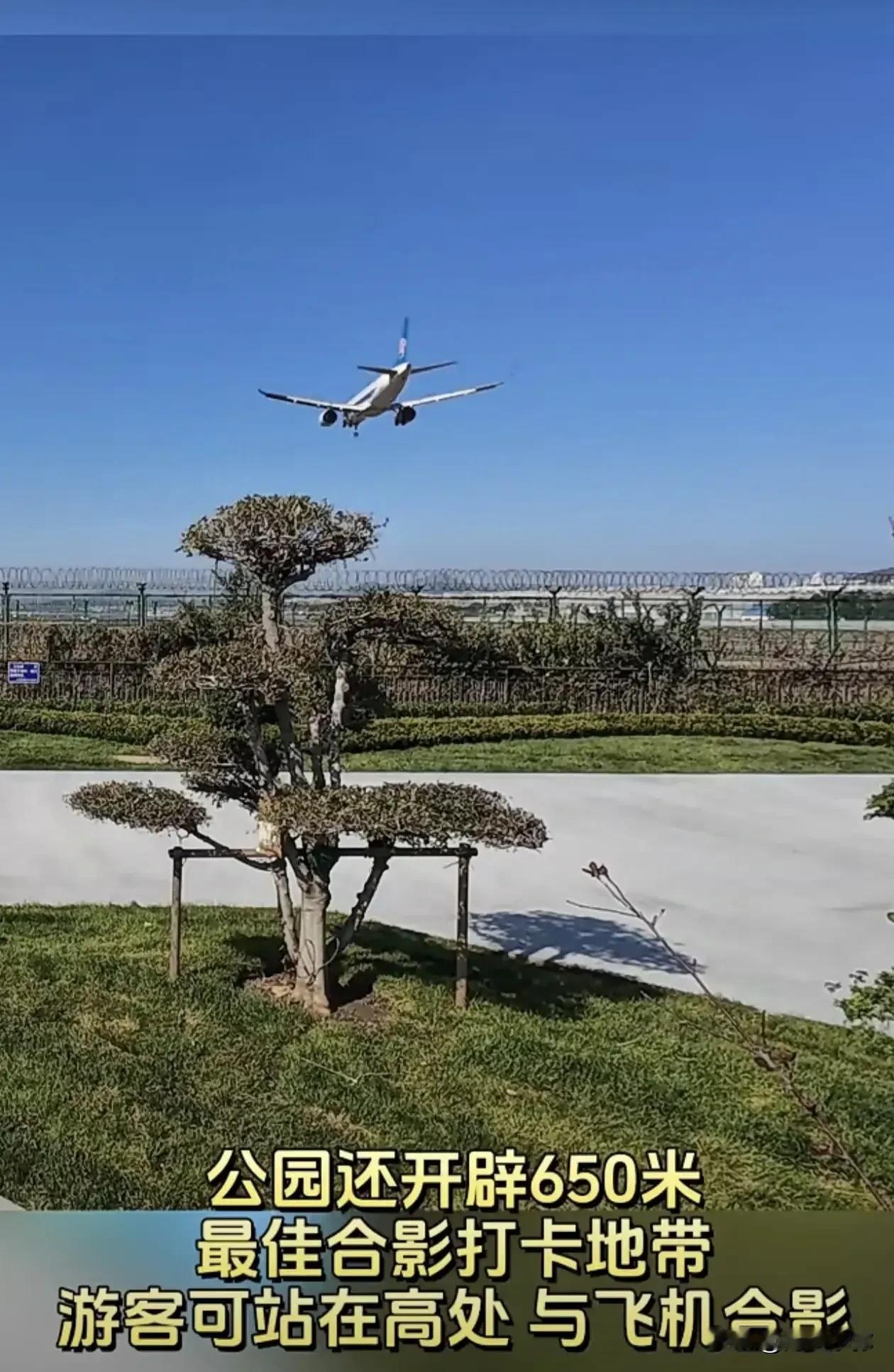 【新晋网红打卡地】大连西北路仰望公园：航空知识与梦幻体验的完美融合！

随着大连