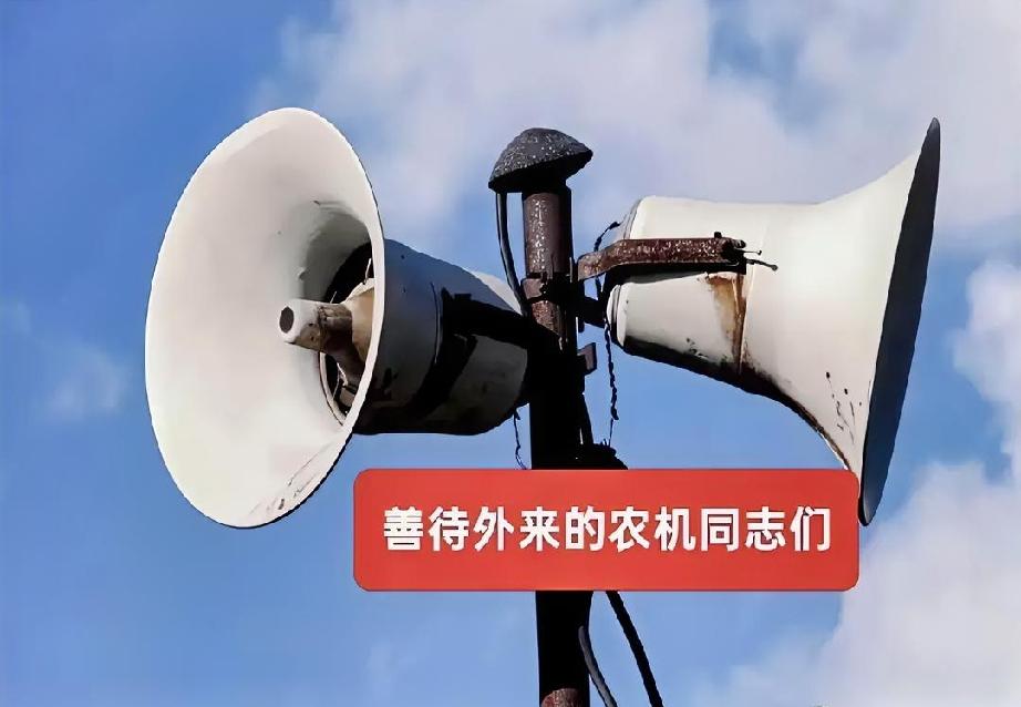 麦子刚熟透，村口的大喇叭突然“刺啦”一声，炸了。

“都听清了！谁家要是敢跟收割