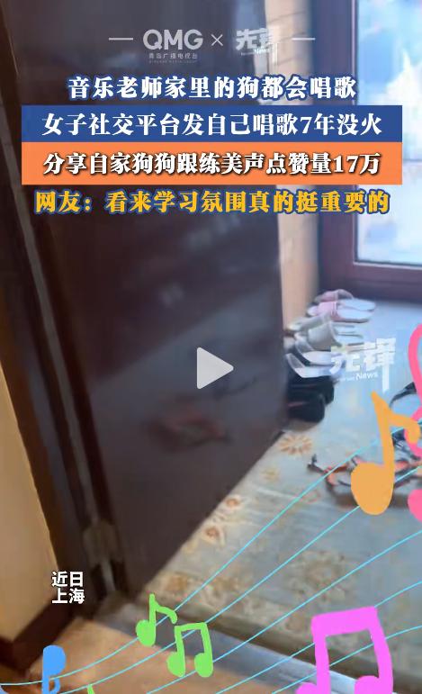 上海，一音乐老师深耕网络七年无人关注，随手拍下狗狗跟着歌声哼唱，一举收获17万点