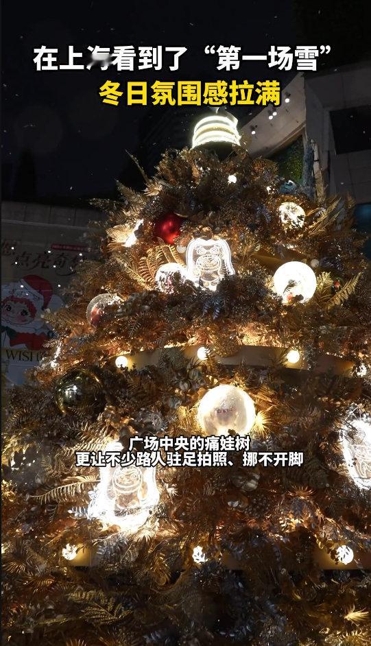 南方人对雪的执念到底有多深 这不就是对我直说的啊，作为南方人对雪的执着，你们是不