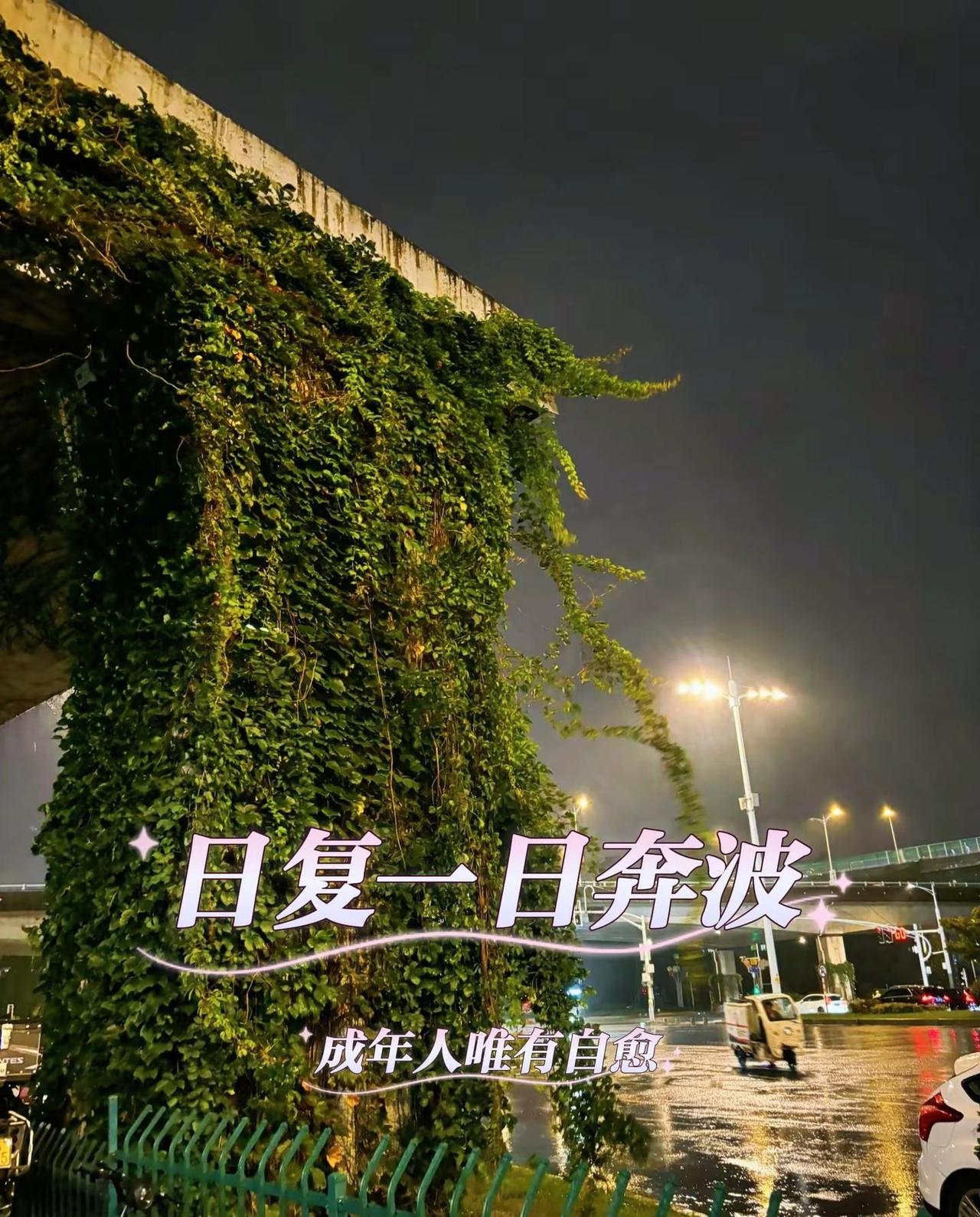 其实雨也没多大，只是世界安静下来之后，成年人的情绪，总爱在夜晚悄悄泛滥。白天忙着