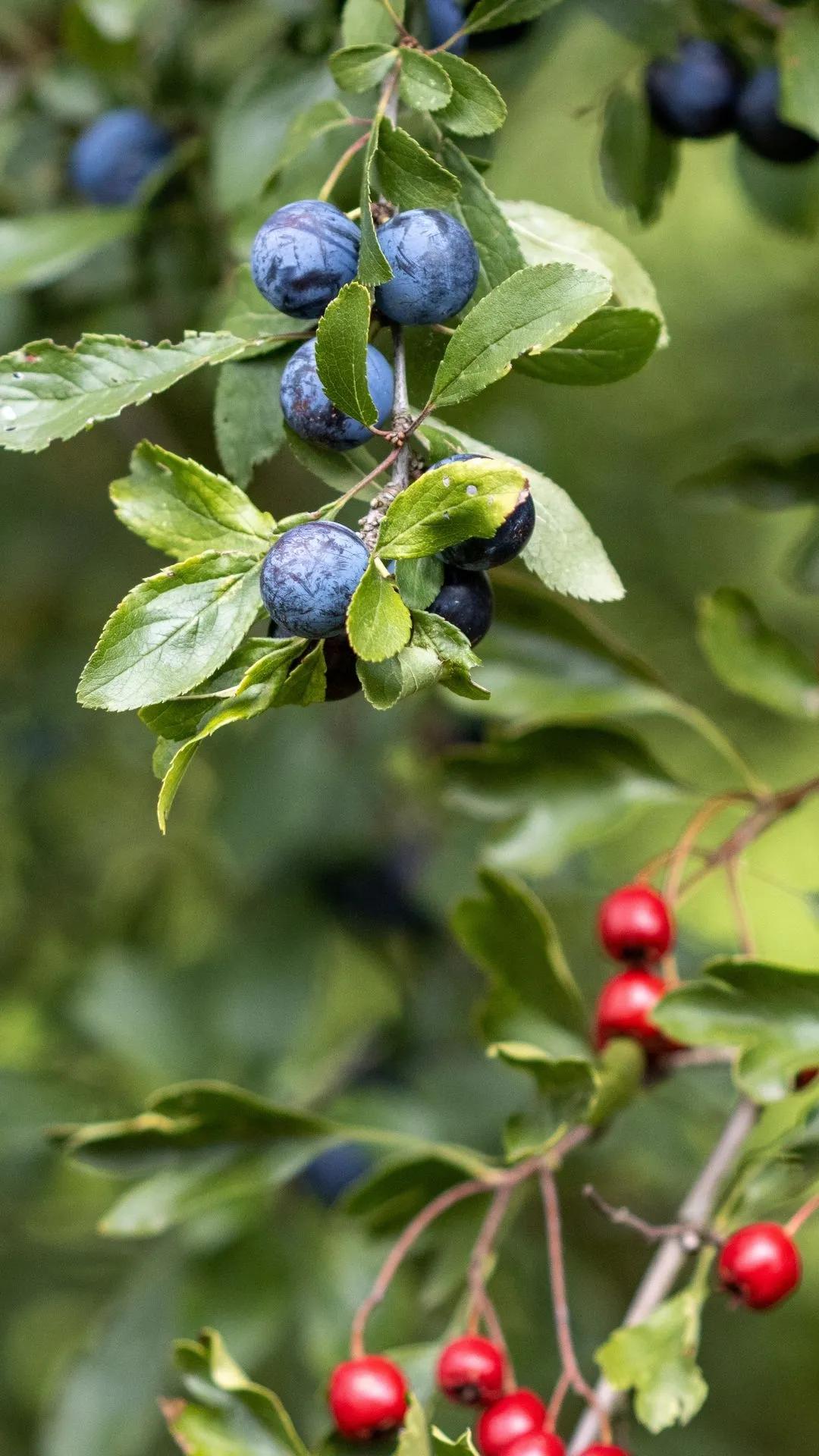 有些东西不是你放不下，是你不愿意放罢了。所有的束缚，都是你自己把自己用绳子捆上的