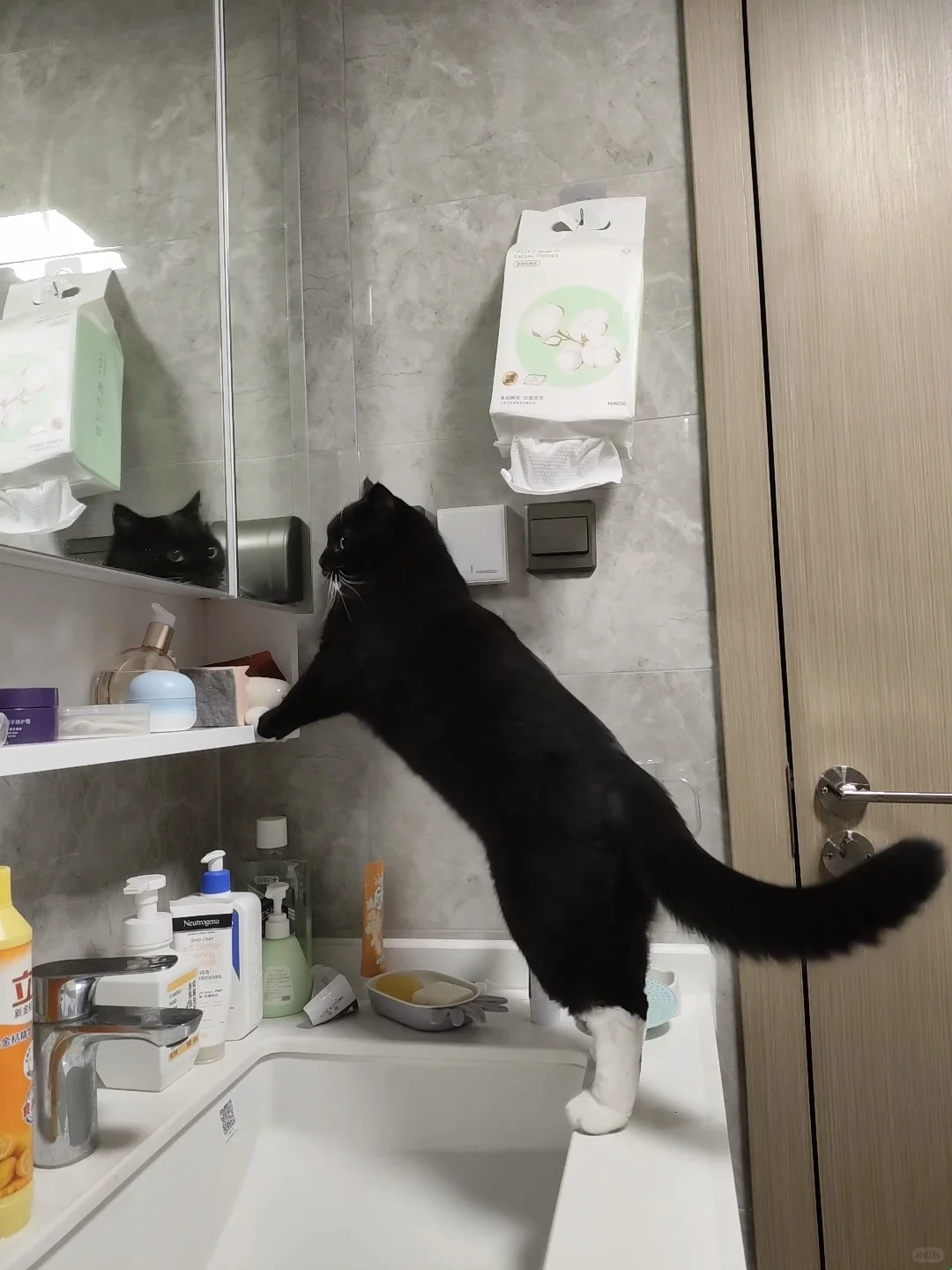 什么？原来我是一只小猫