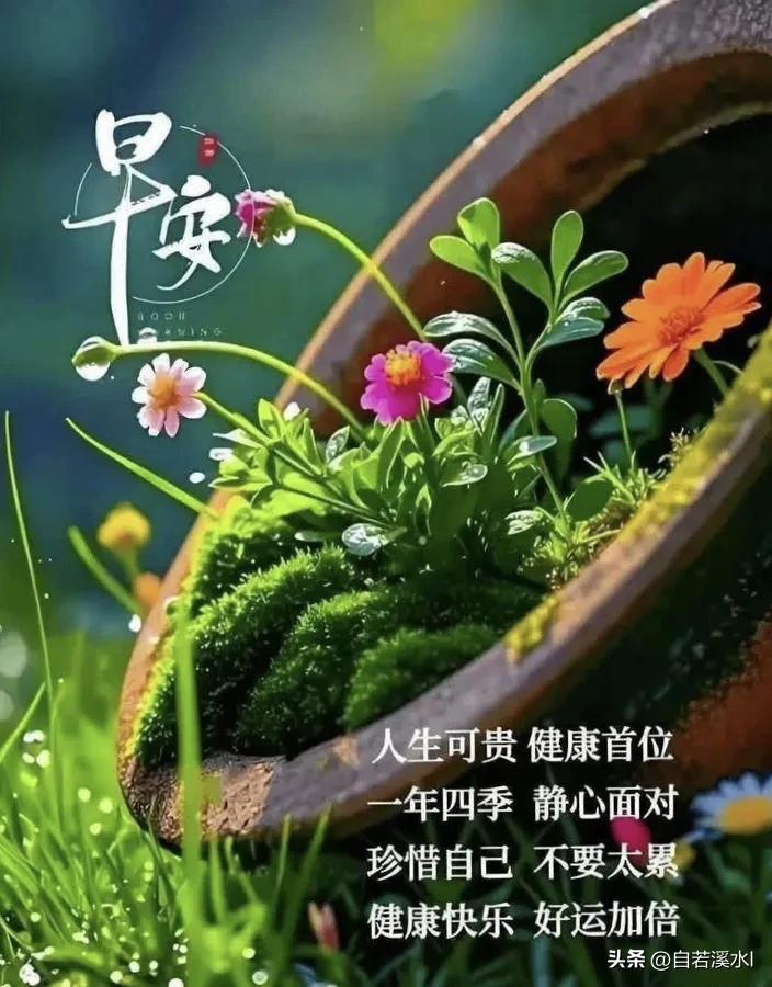 晨露润小花，平安伴朝夕，保重身体，早安。