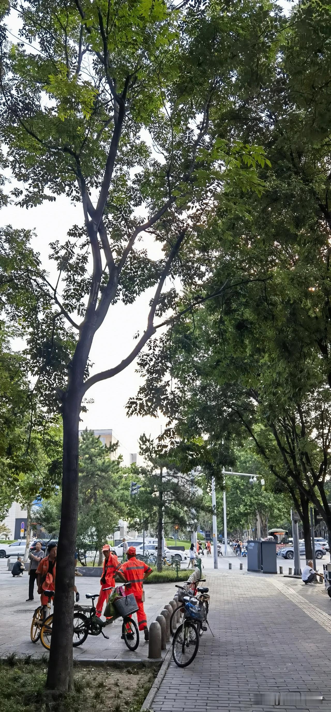 #夏日生活打卡季#