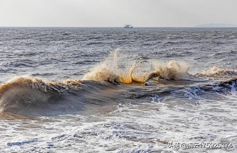 上联：林间听雨忘尘事，诚邀下联下联，海上观潮涤俗心！