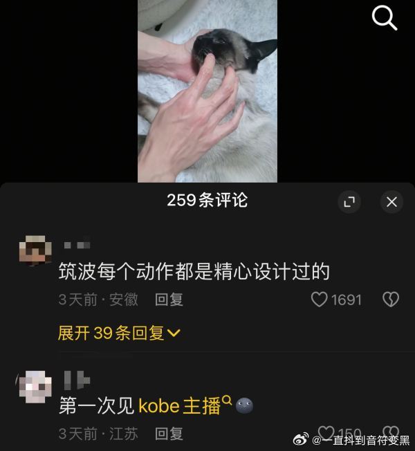评论区全是发q的,猫猫好惨,也是被你找到流量密码了国产浪漫