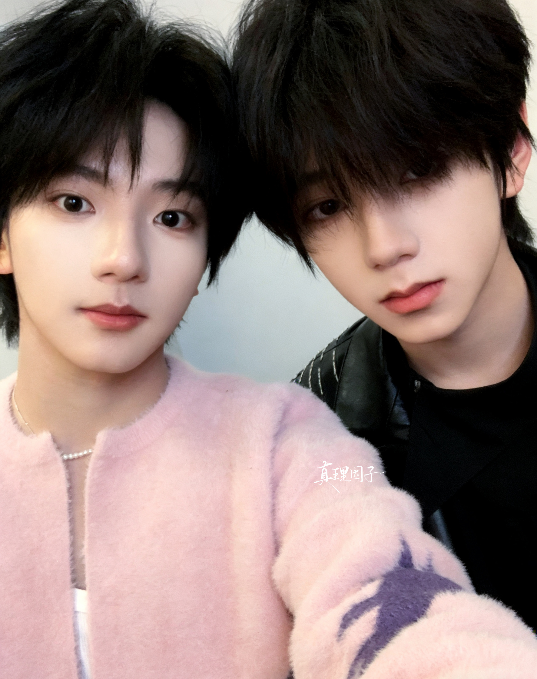 拍的再冷漠 在哥哥面前也是乖小狗啊 