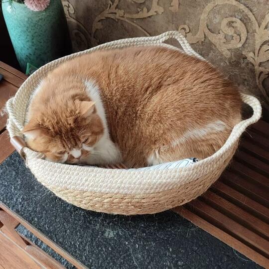 一大筐