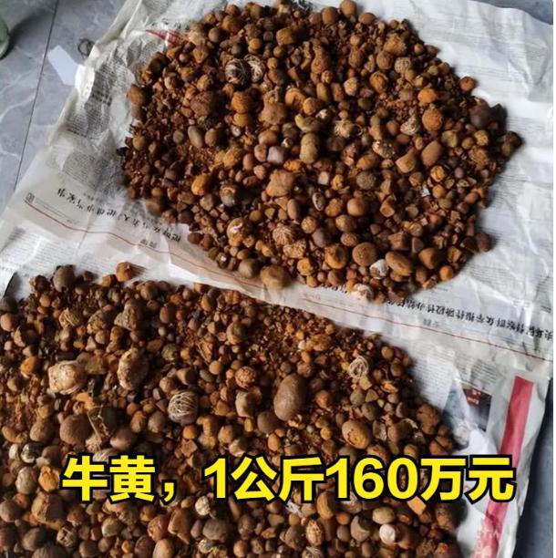 每公斤高达1650000元，比黄金还贵！这种东西过去在农村被当成废品，如今却身价