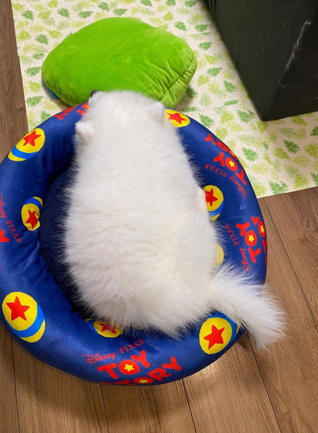 晚安耶 ​​​