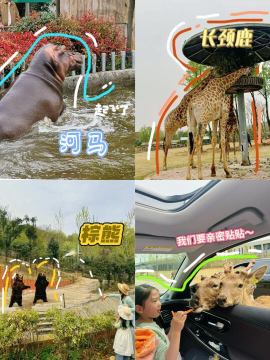 南京版“疯狂动物城”我们来啦！附攻略