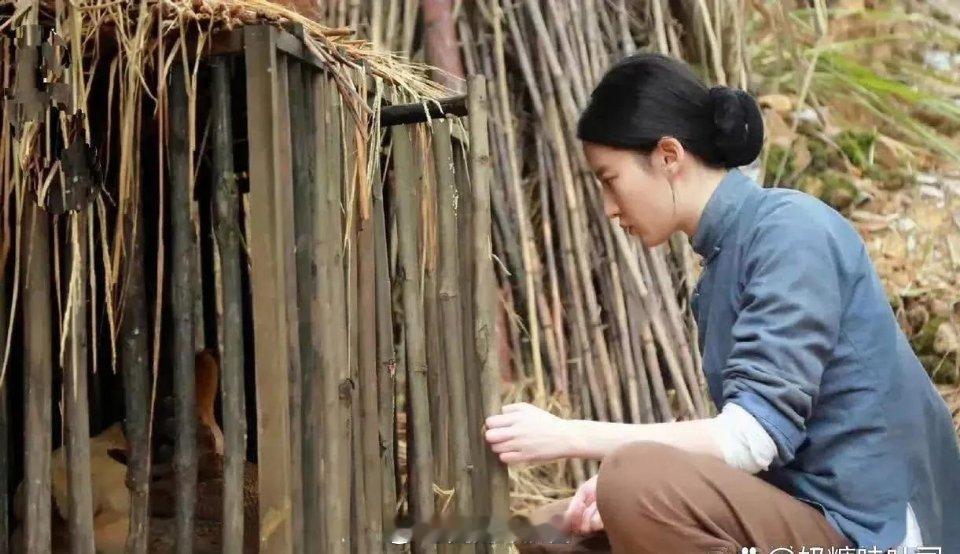 一看刘亦菲就演不了农村妇女，喂鸡是不用追着喂的，懂？ ​​​