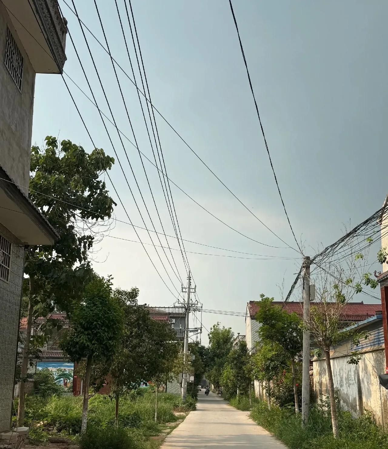 父亲还在的时候
 
姑姑就和我们断了亲
后来家里孩子办喜事
姑姑她从头到尾都没来