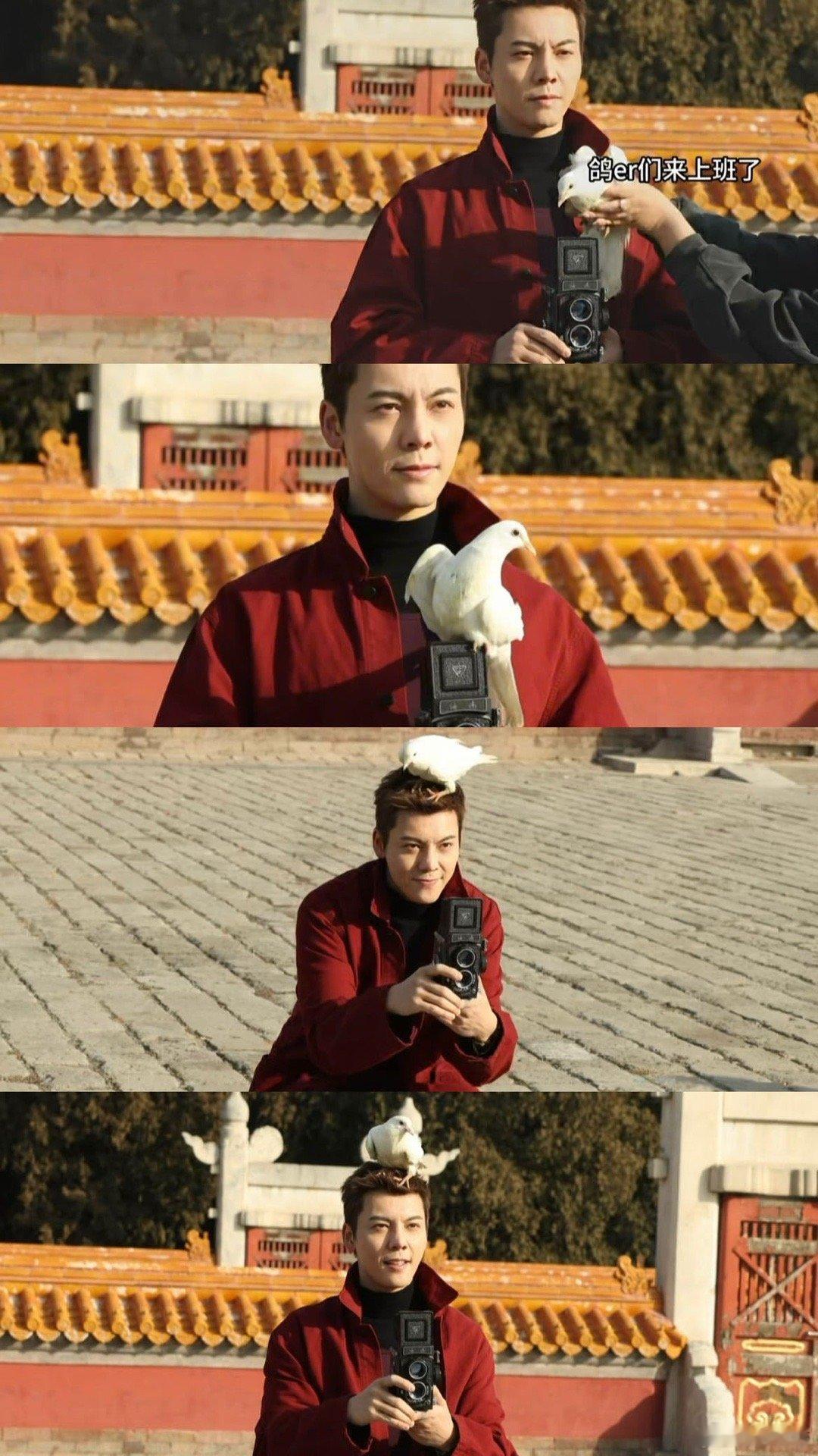 好怕鸽子在陈伟霆头上干点啥 陈伟霆这组图帅是真帅，可那鸽子站头上，我老担心它突然