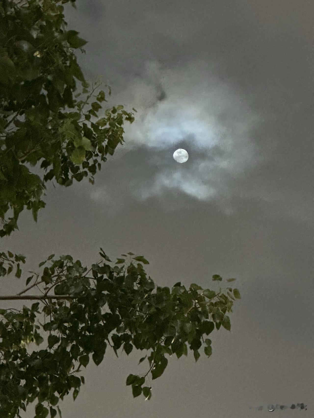 2026年的第一轮明月。