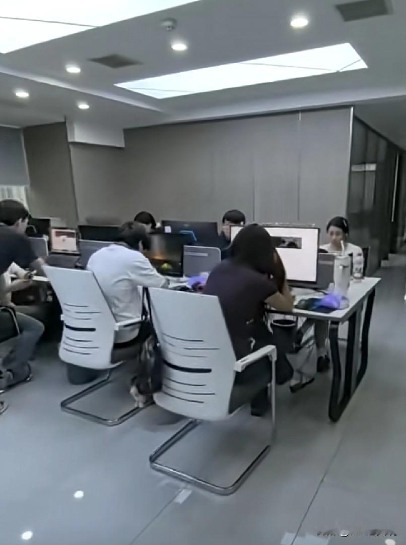 作为一个底层hr老白菜，给大家说一下我们最常用的“虽然没说拒绝，但实际就是拒绝”