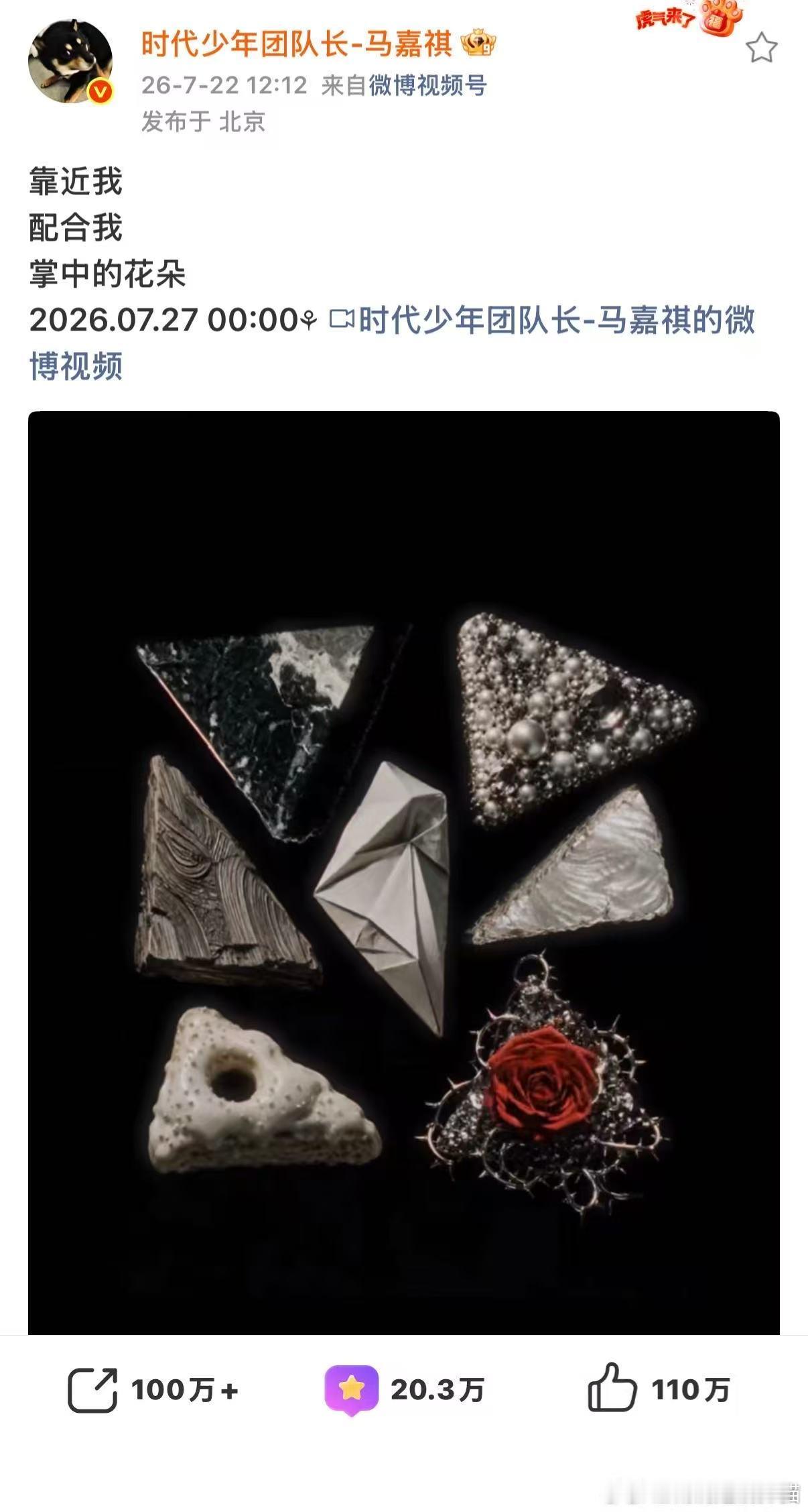 马嘉祺预告里送的花是自己亲手制作的 从亲手制作花束到最后温柔吻花，整套镜头连贯又