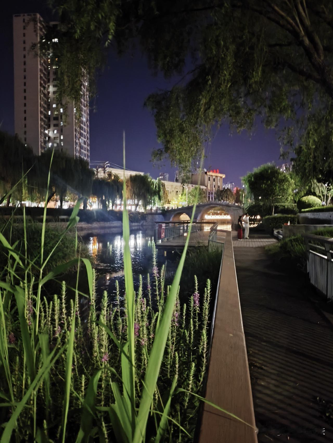 晒图笔记大赛白天奔波于俗世纷扰，夜晚漫步河边，看灯光落水、柳枝随风，才懂会心之处