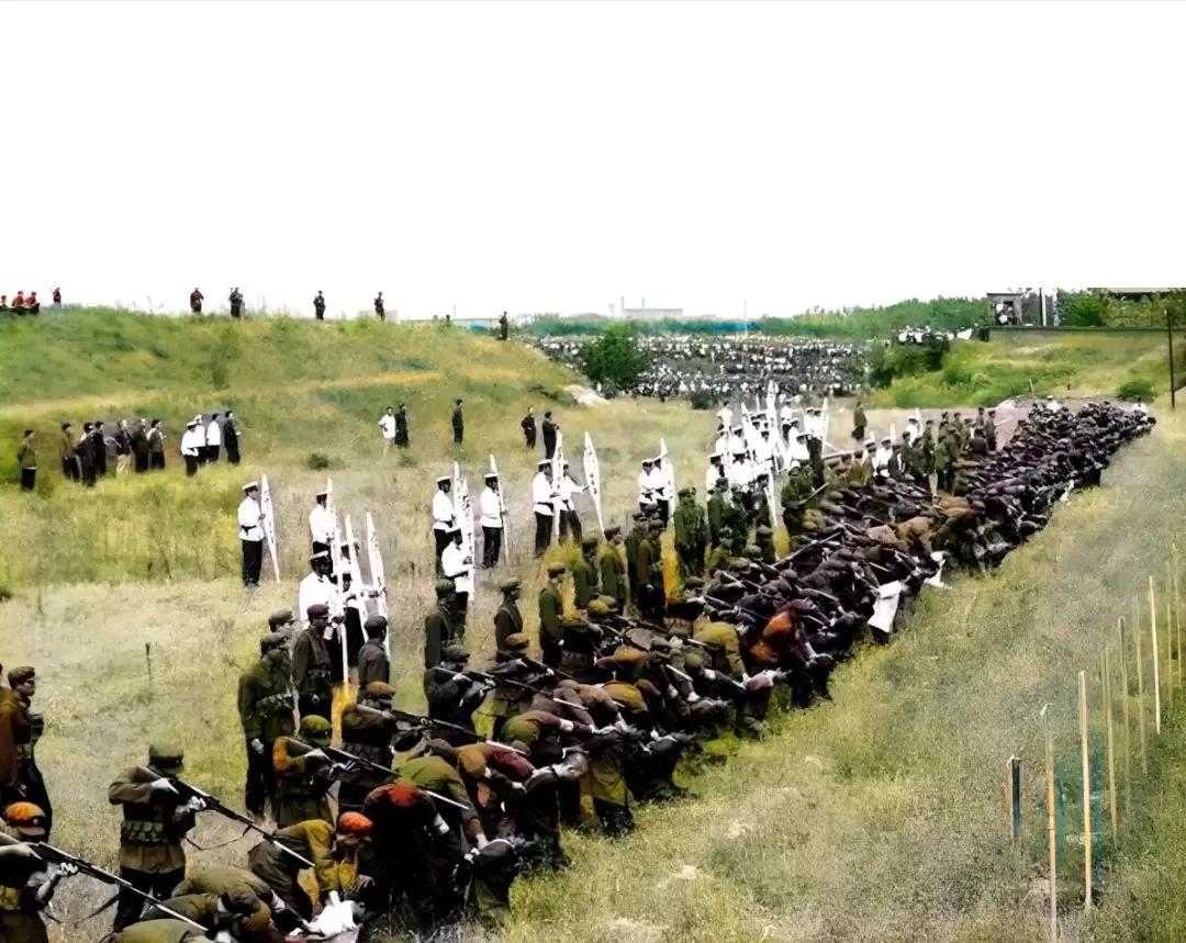 这是1980年集体枪决犯人情景，场面十分震撼！画面中几十名死刑犯齐刷刷排成一行，