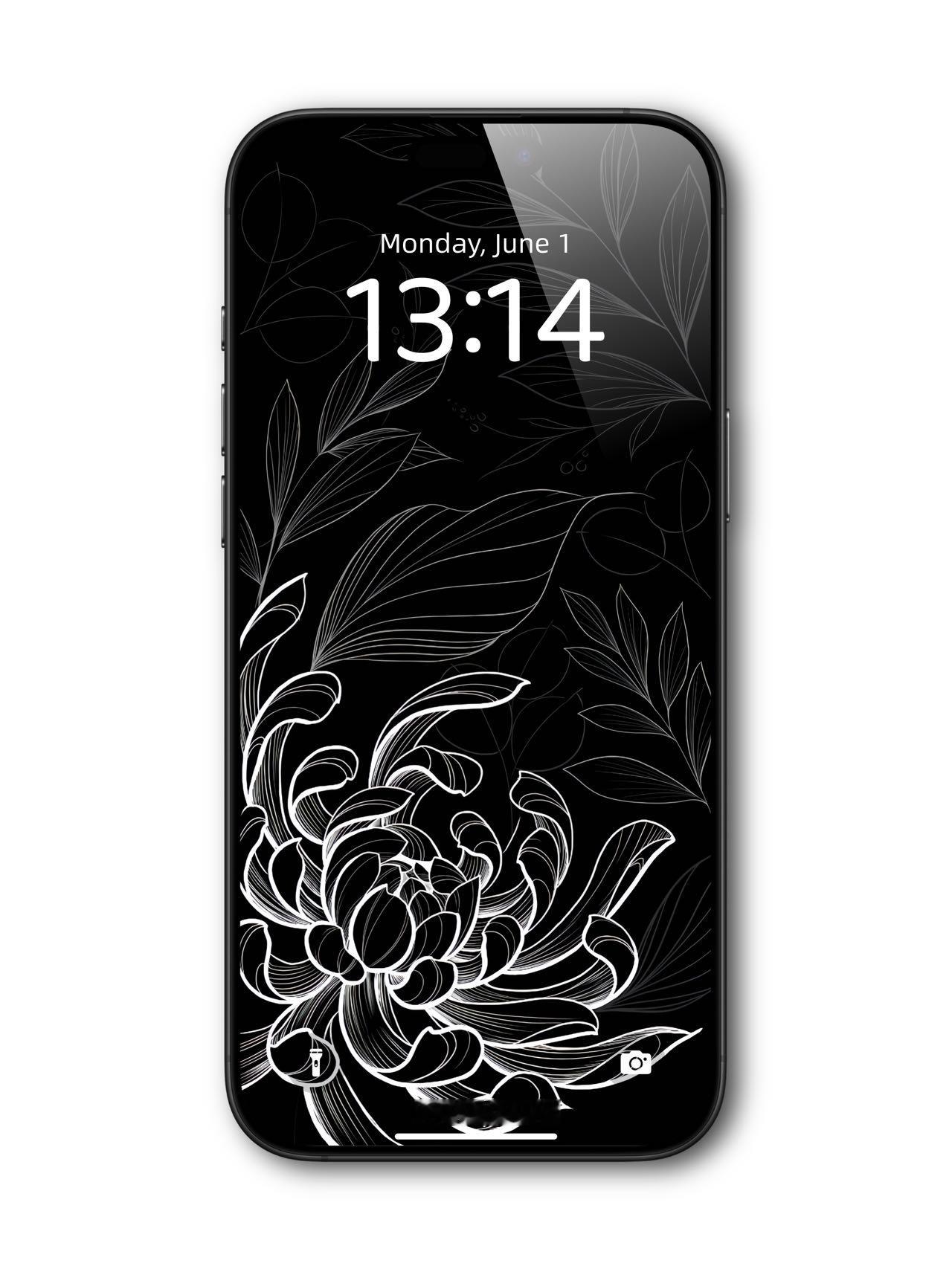iOS黑底白线菊 渐变壁纸 