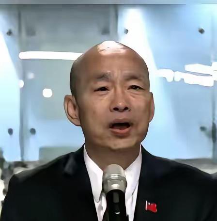 扶不起来的阿斗，在台岛伪立院表决弹劾台独头目赖某议案的关键时刻，身为国民党籍韩国