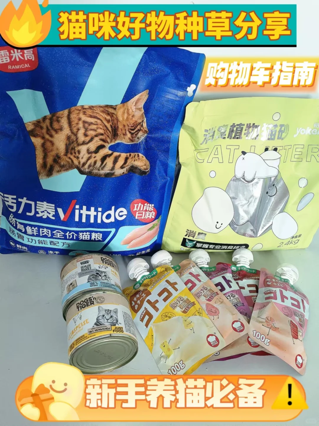 自用猫咪好物合集|新手养猫比囤