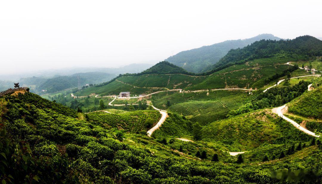 大多数平民百姓，即是行好运，也不能发达、发大财，只是比差运好一些。这是为什么？因