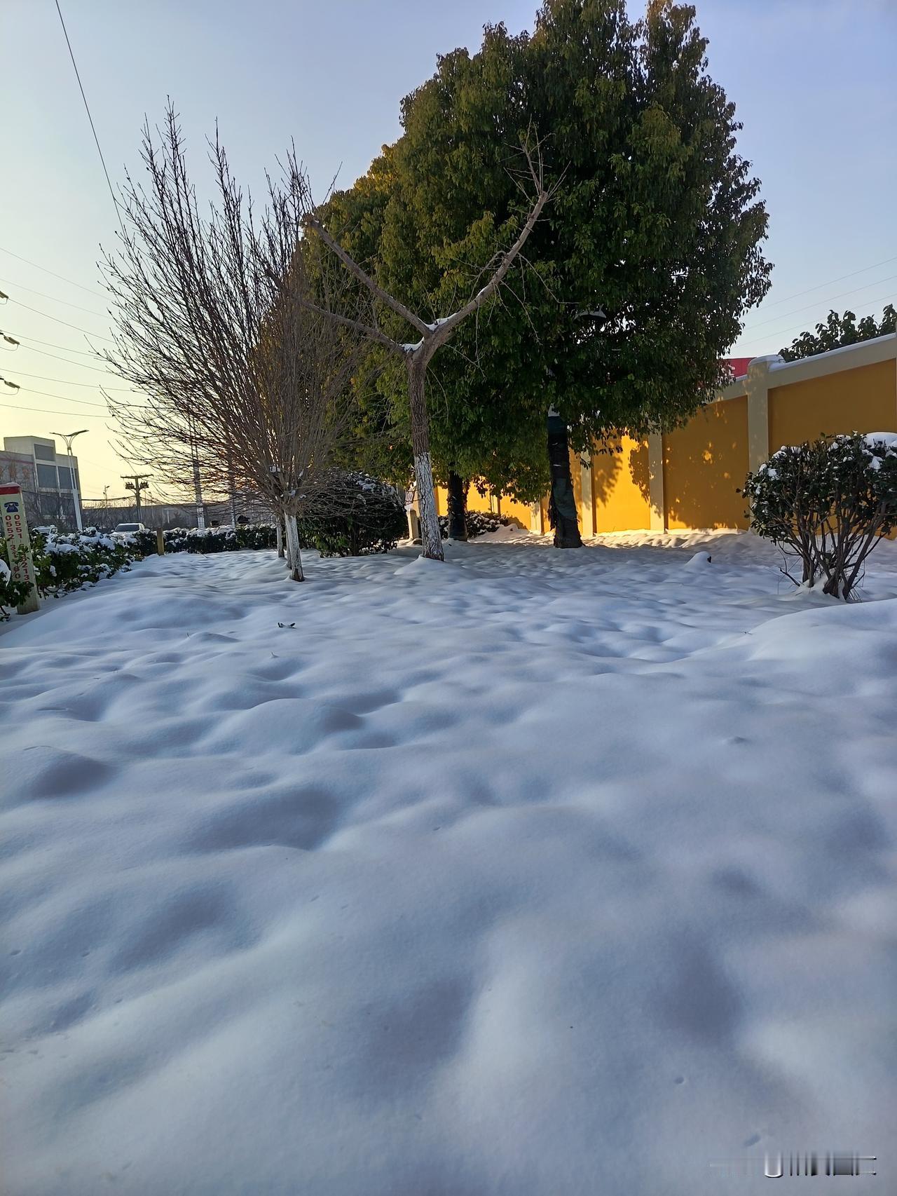 冬日生活打卡季