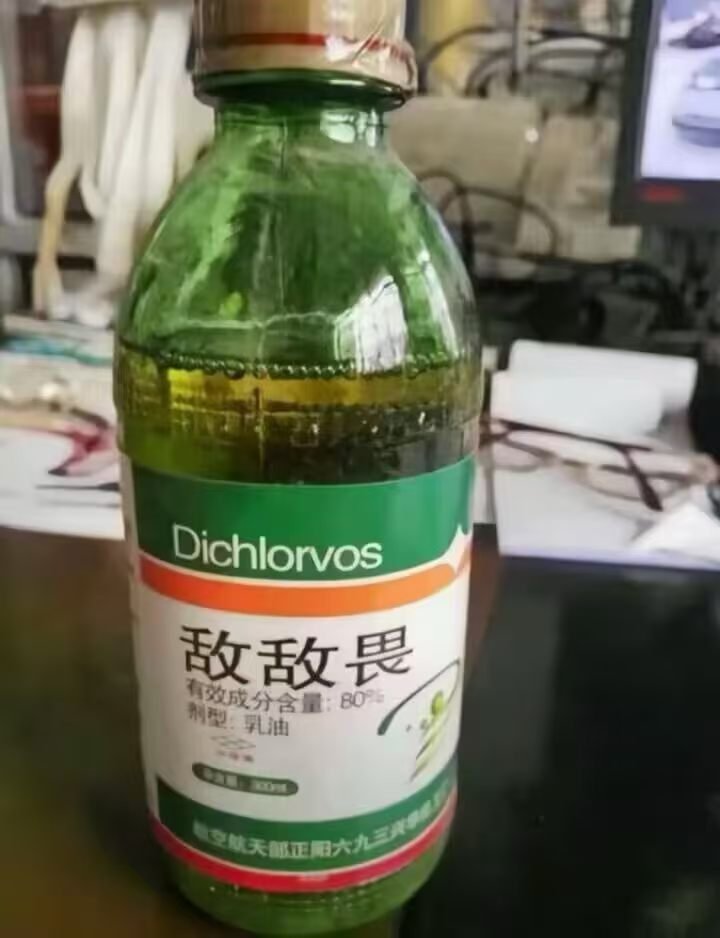 七月第一杯奶茶 