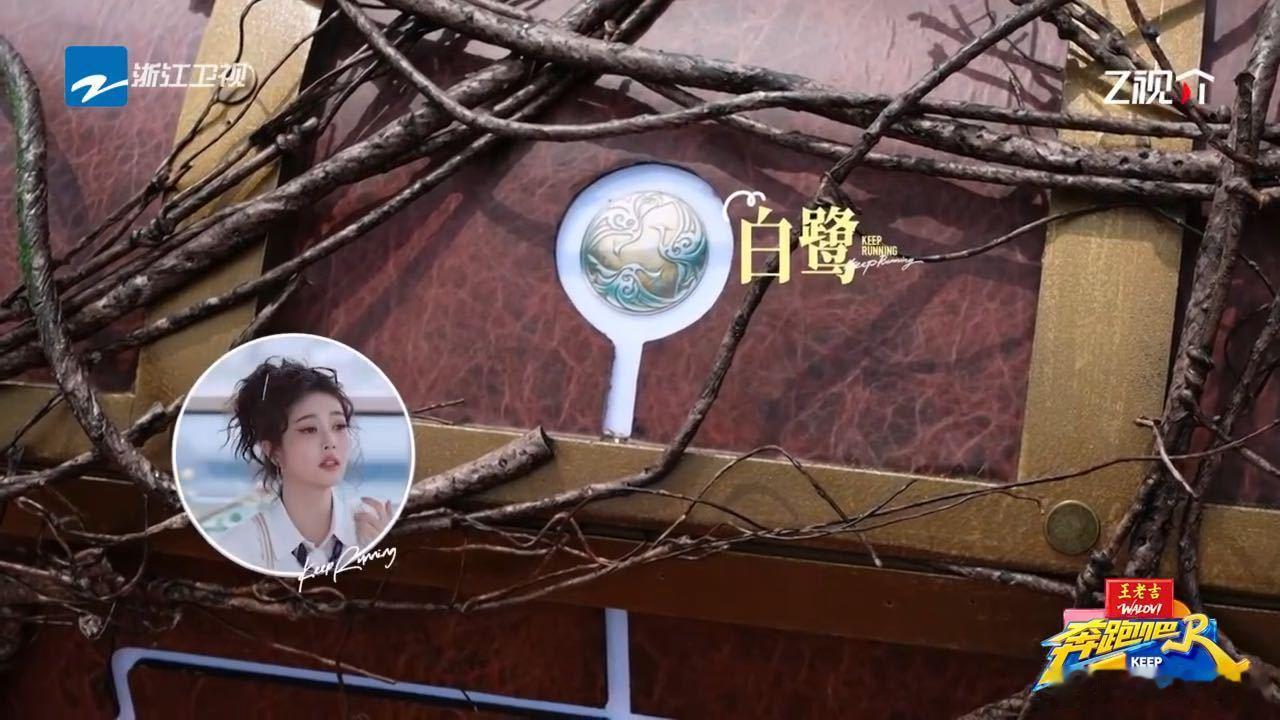 白鹿说白鹿常相伴白鹿听到白鹭的反应奔跑吧 《奔跑吧》名场面+1！白鹿发呆时捕捉到