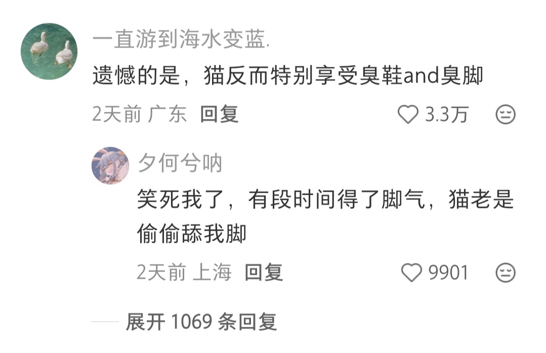 好想禁止家里人用脚摸猫 