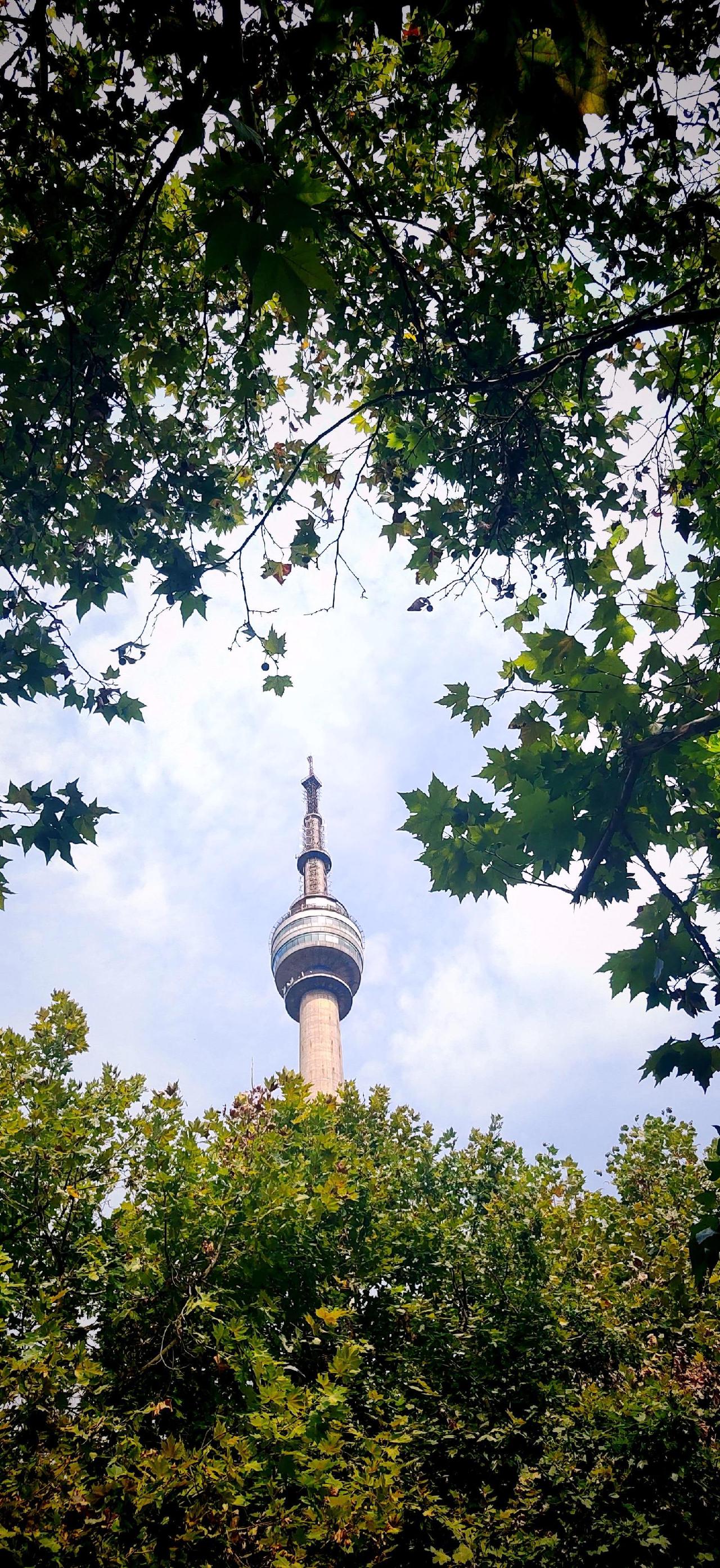情到深处很伤心，景致精美很真情！#风景如画的地方