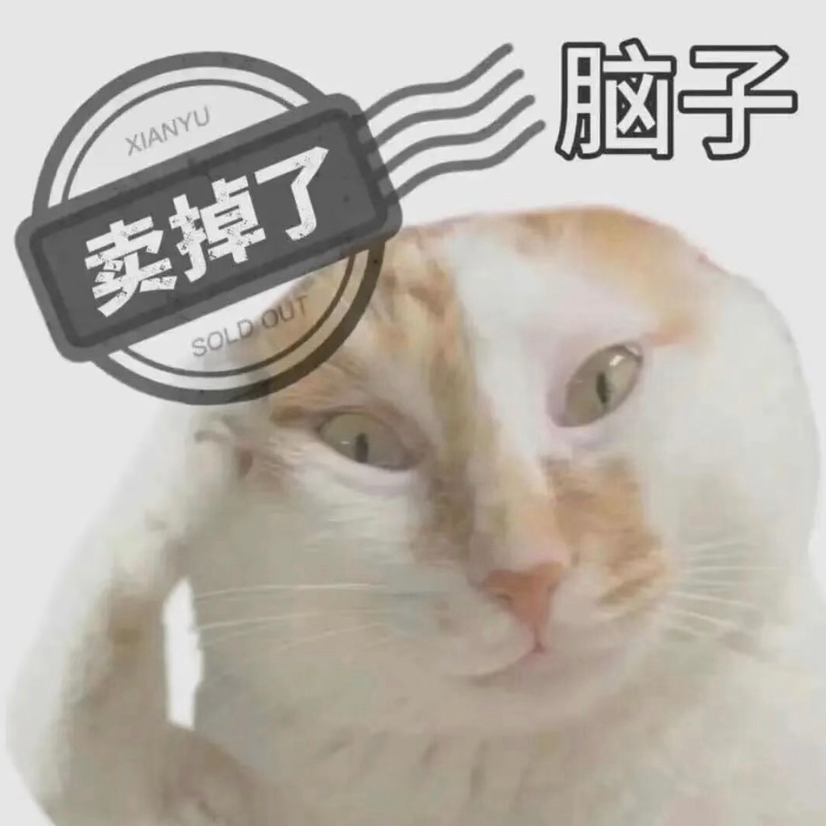那句话说的好，品牌传播别把冒犯当创意。自己追星想怎么发就怎么发，但这是代表一个品