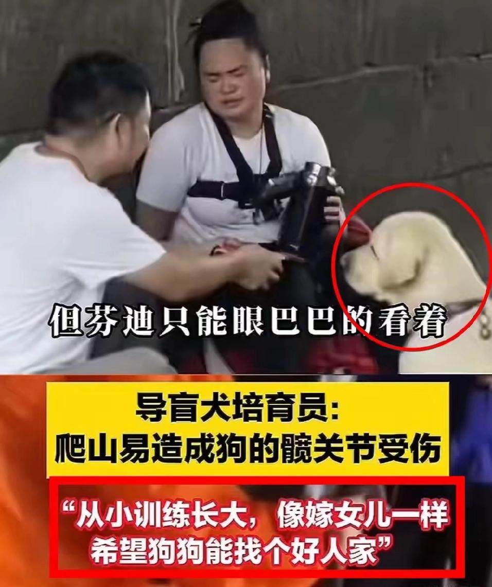 导盲犬要被收回，这事儿全国网友都晓得了！导盲犬基地主任出来说，看到这情况心里特别