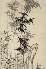 独有聚聚科技