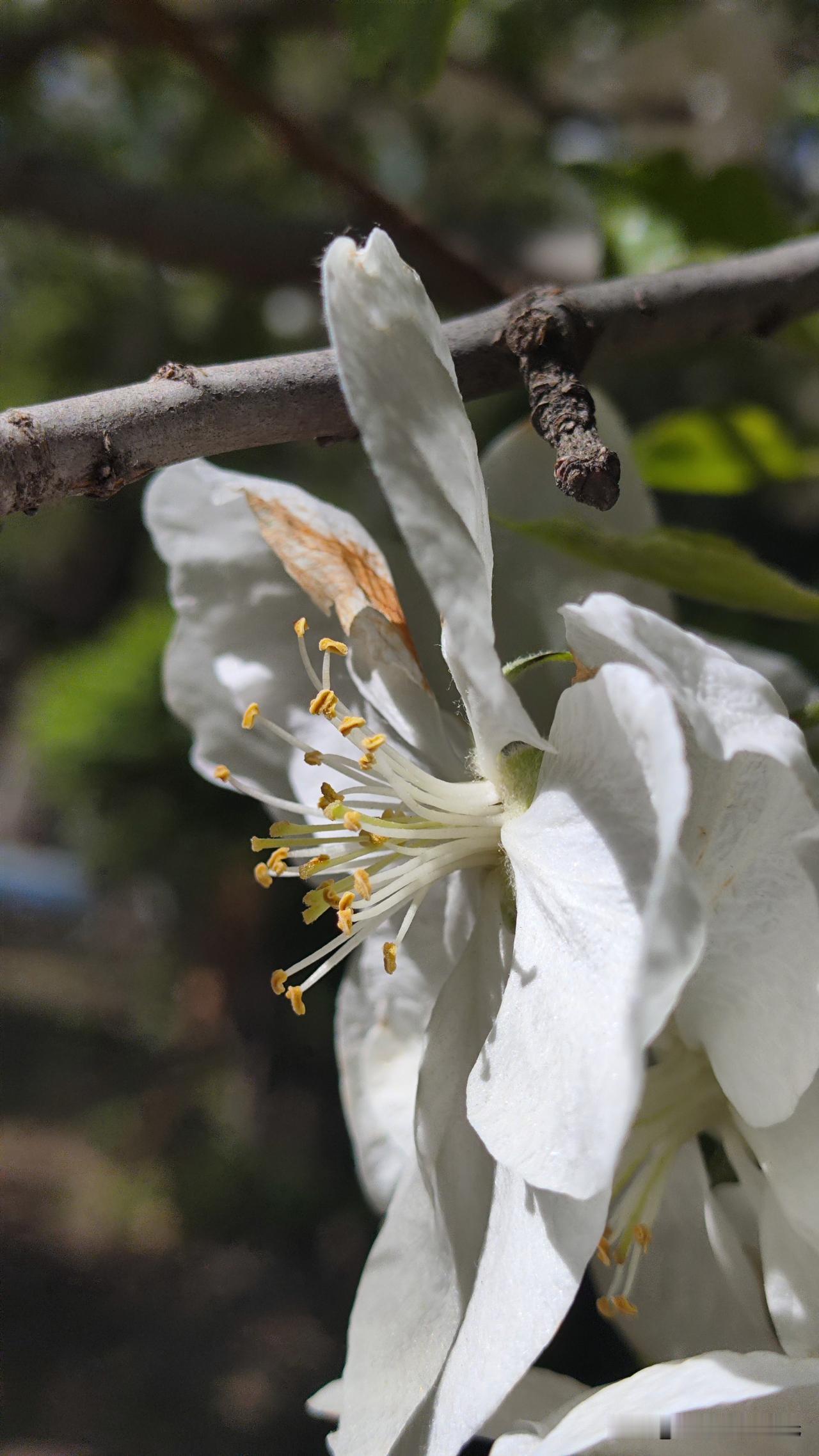 人到中年，比没钱更可怕的，是心里没着落！

前几天朋友跟我感叹：车子换好的了，表
