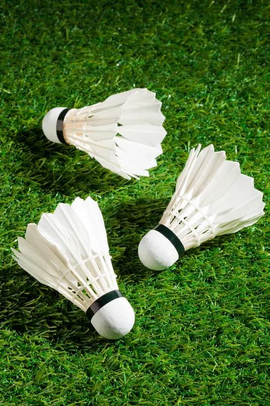 “球场如战场”这句话，对于职业羽毛球运动员而言，那是千真万确。他们在赛场上争夺球