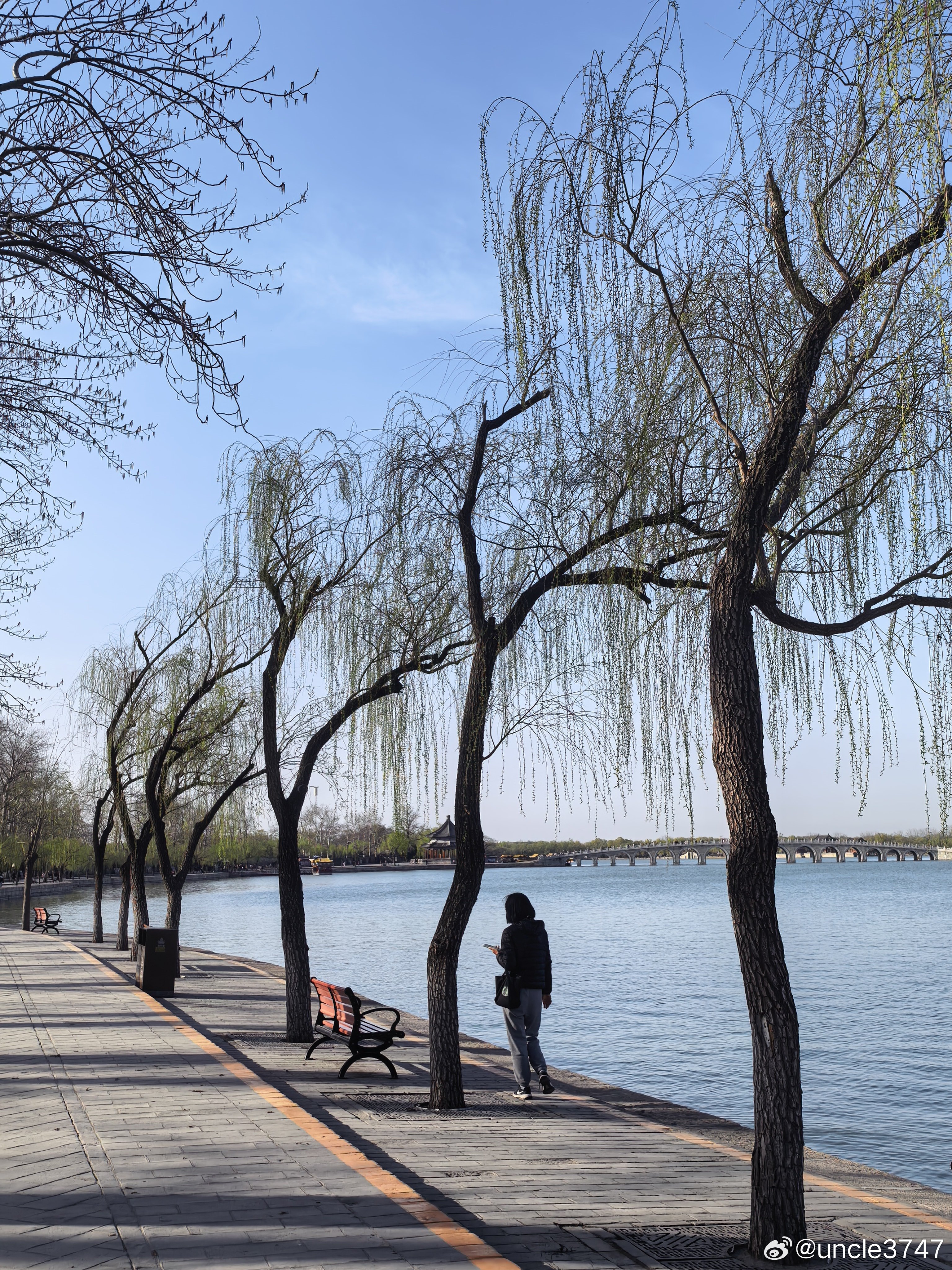 桃红已褪，又添柳绿。春天的颐和园，浓妆淡抹总相宜…摄影北京春日拾光