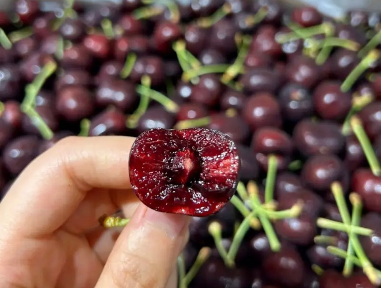 车厘子价格暴跌近40%现在我买水果，就是以健康为主，像是那些梨、苹果这些的，本地