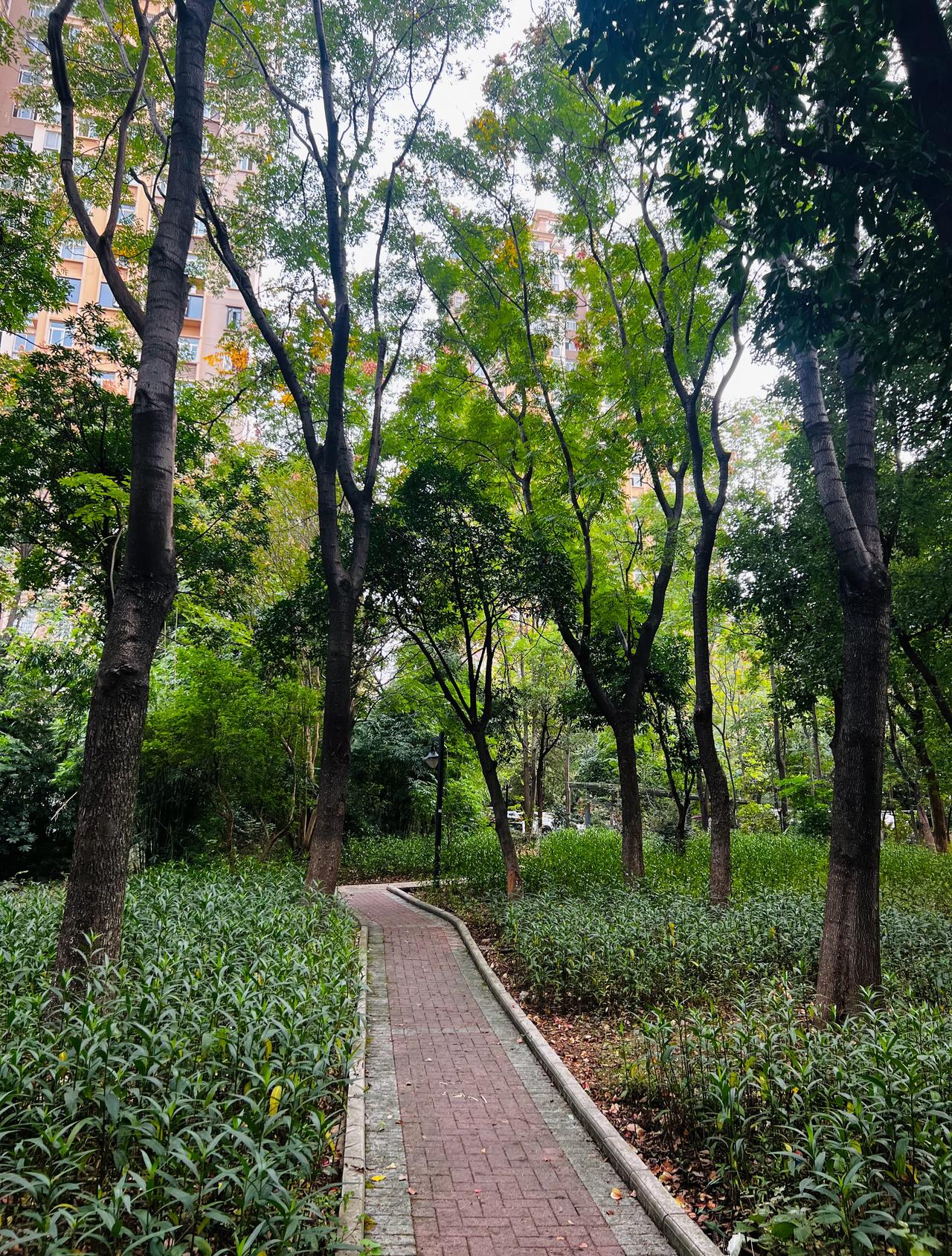 小长假刚过 一早闹钟忘了调，差点睡过头
幸好隔壁小孩吵闹声叫醒了我
昨晚也很快就