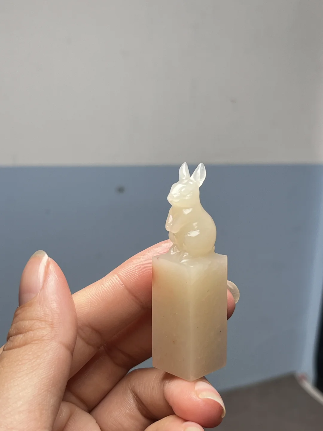 随手一拍的兔子都好可爱