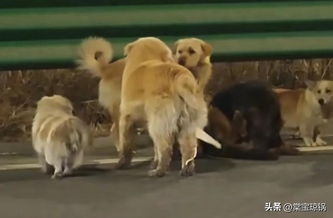 我其实挺怕的，
怕的是他们好不容易逃亡回去，结果又被抓走，
所以这件事除了一个劲