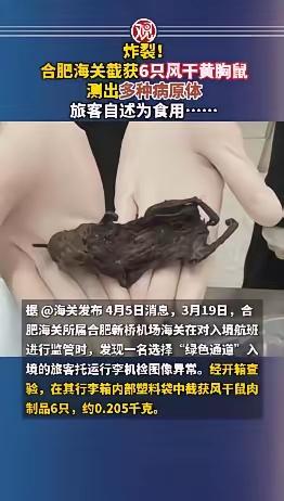 这种游客，真的不是间谍吗？还是被人收买的？