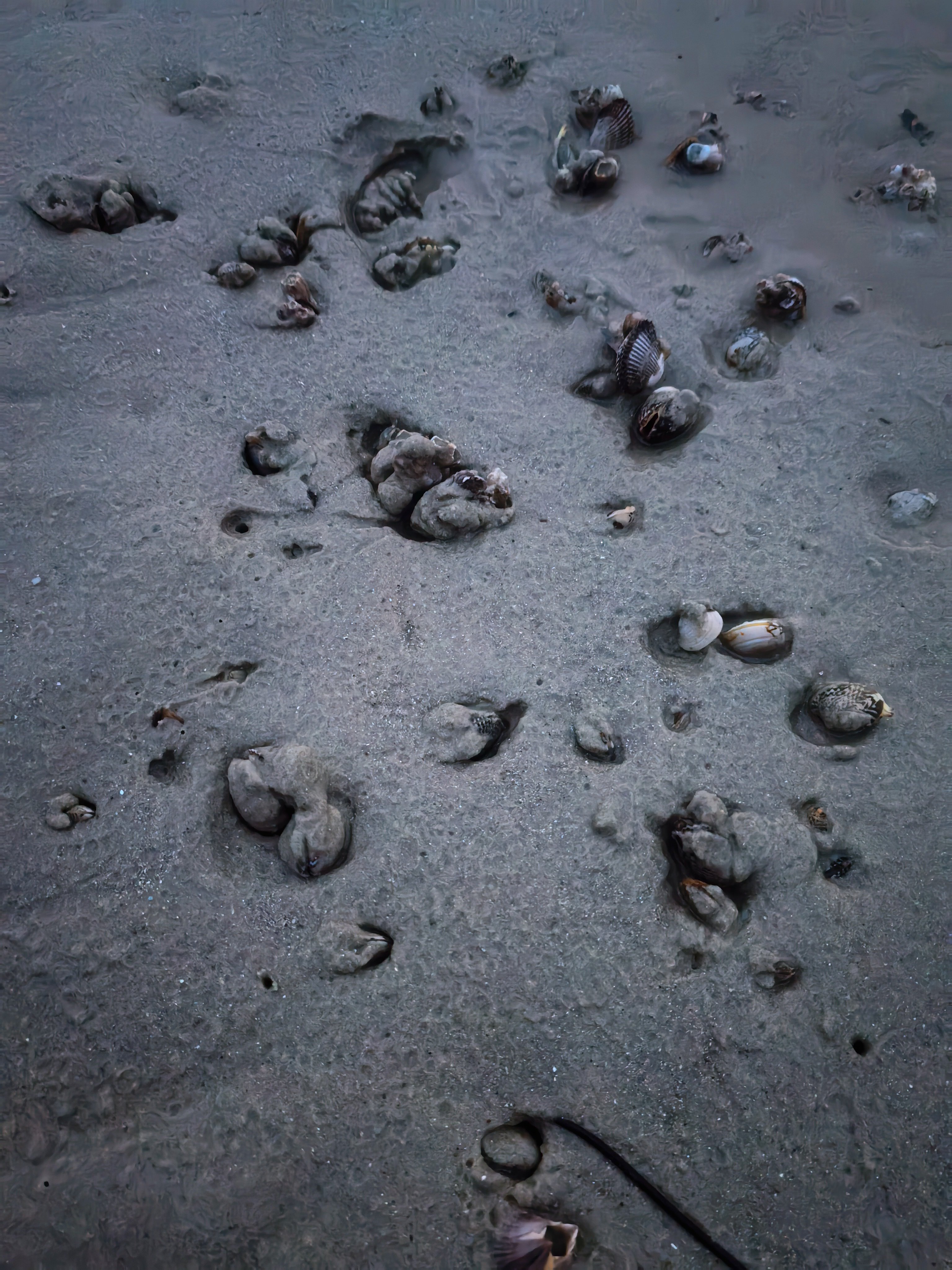 收获满满，都是活的 