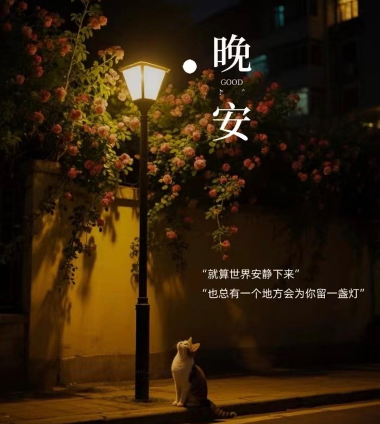 每一次进场，都是过往积累的检验；每一次兑现，离不开并肩研判的默契。连续告捷并非运