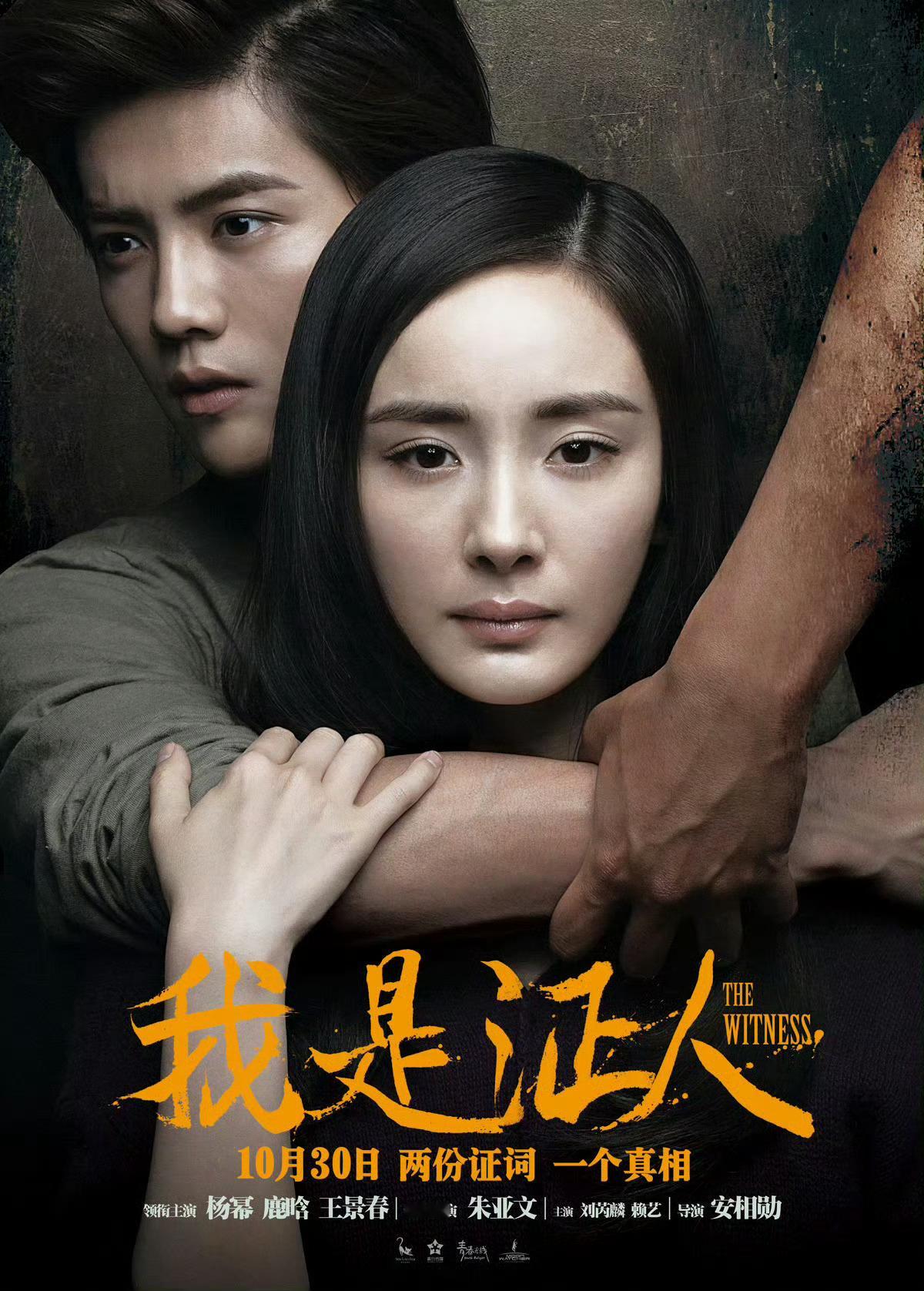 我是证人十一年前拿下2.15亿的高票房，并获得环球文娱盛典2015年度最受社会关