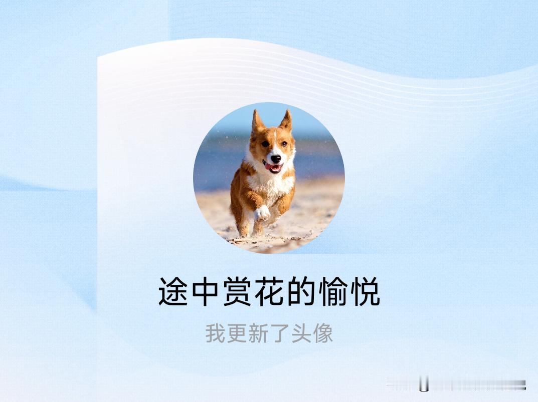 快来看看我新换的头像吧