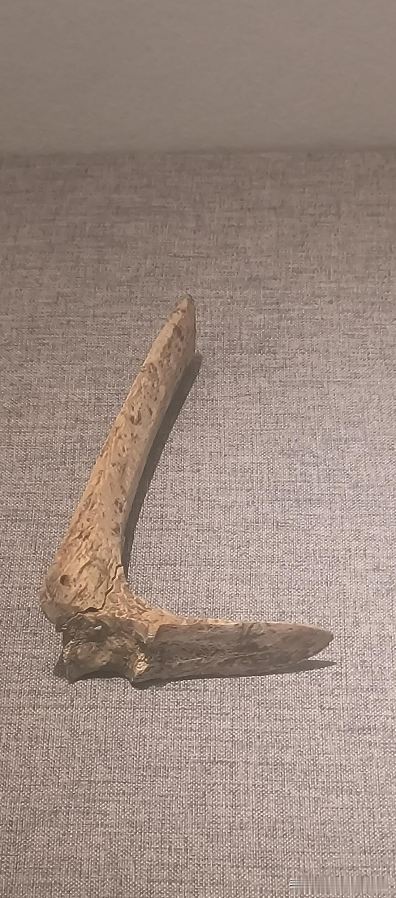 孩子想打暑假工你支持吗可以去试试，不要太累，不要去发传单之类也不要去打搬运的苦工