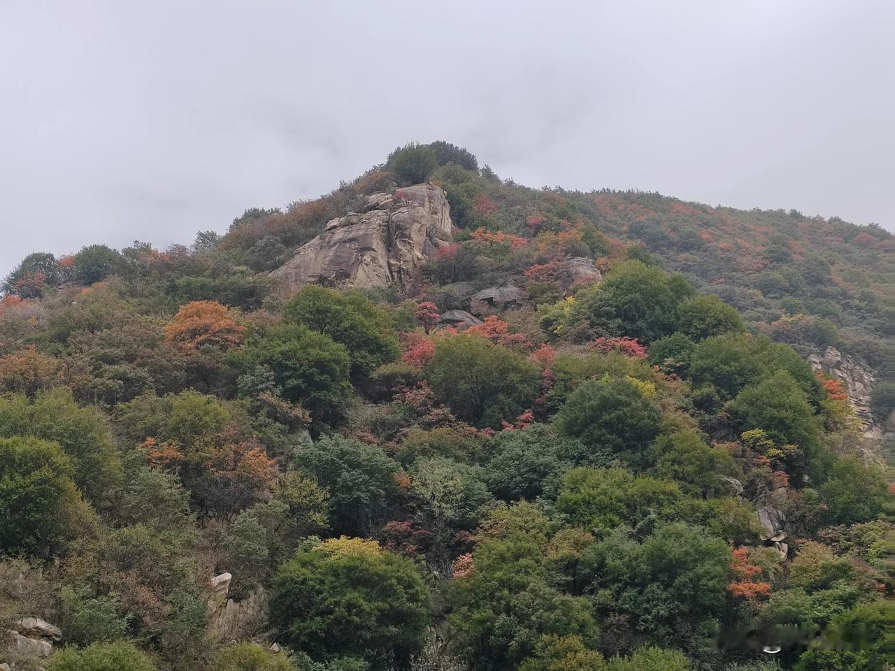 #拍秦岭风景#
蓝桥春雪君归日，秦岭秋风我去时